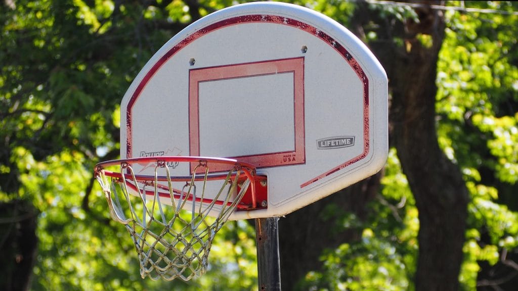 basketball basketball hoop 1393067