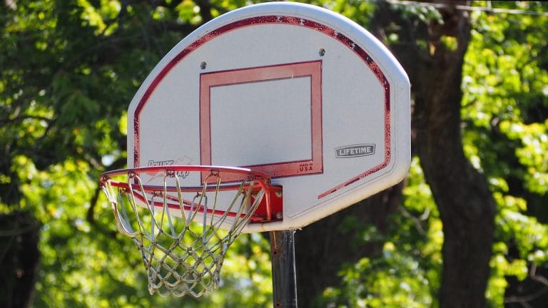 basketball basketball hoop 1393067