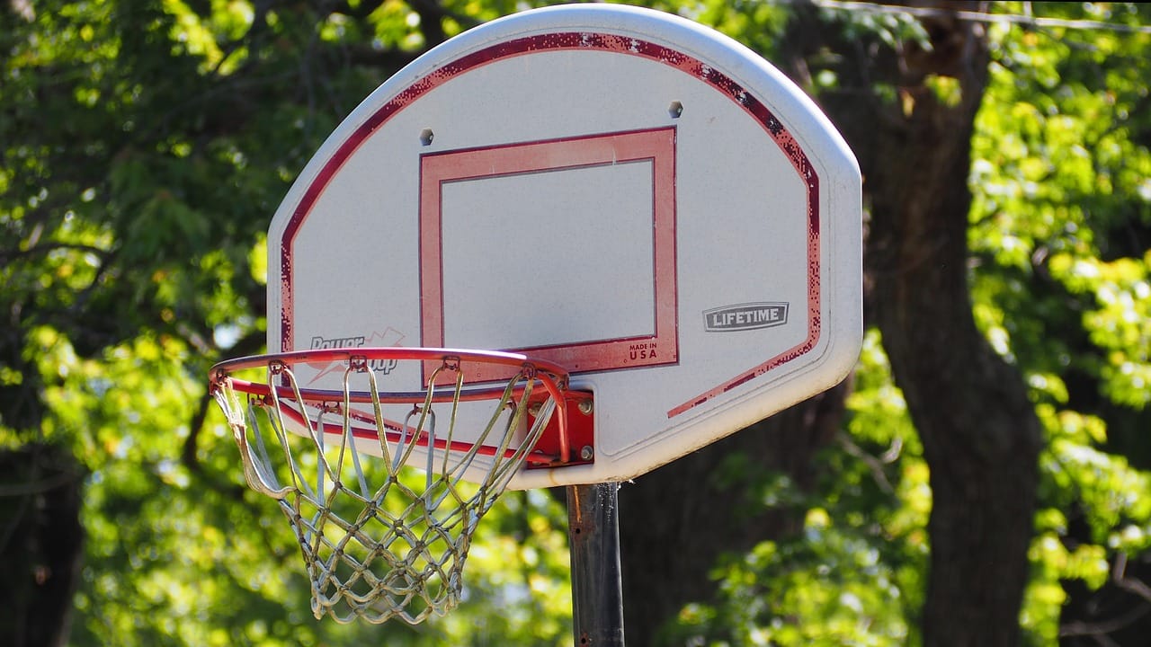 basketball basketball hoop 1393067