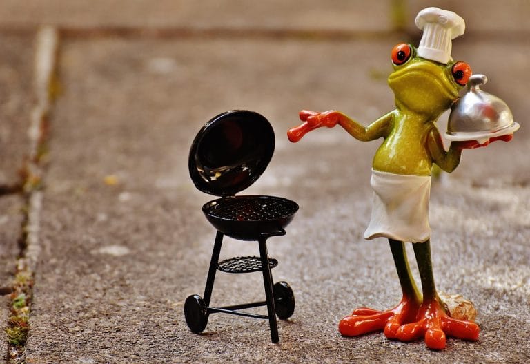frog cook grill figure fun 1708733