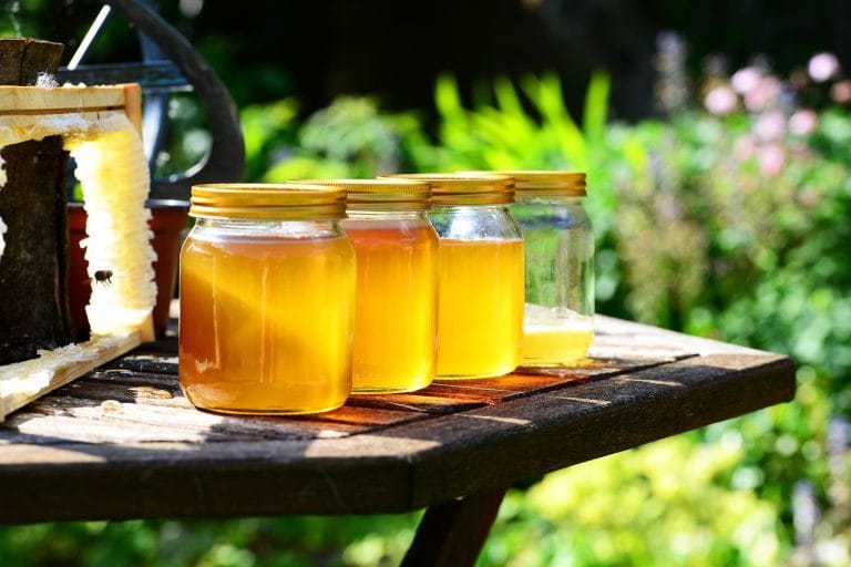 honey jars harvest bees garden 352205